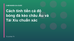 Read more about the article Cách tính tiền cá độ bóng đá kèo châu Âu và Tài Xỉu chuẩn xác
